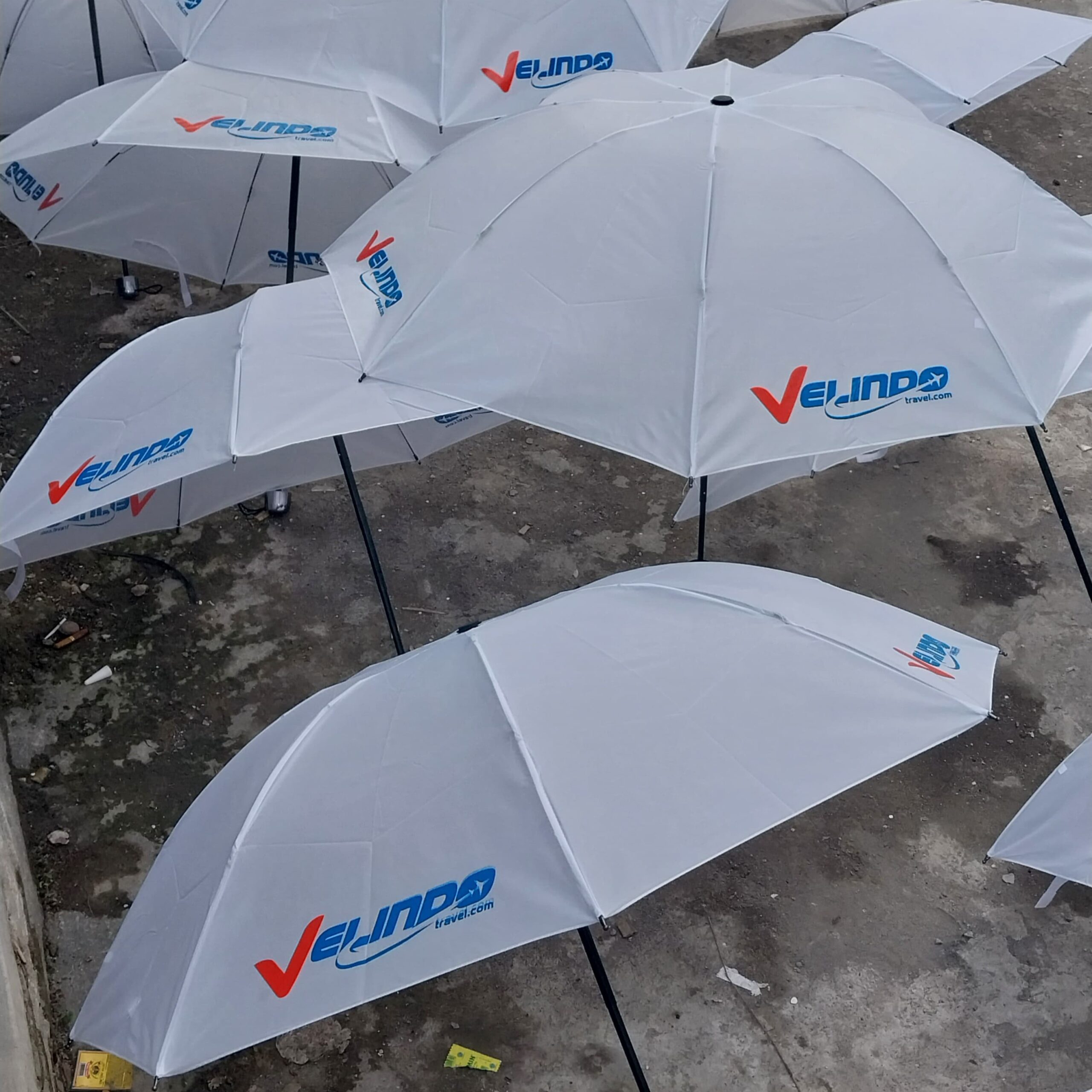 WhatsApp Image 2025-05-21 at 11.50.57 WhatsApp Image 2025-05-21 at 11.50.57