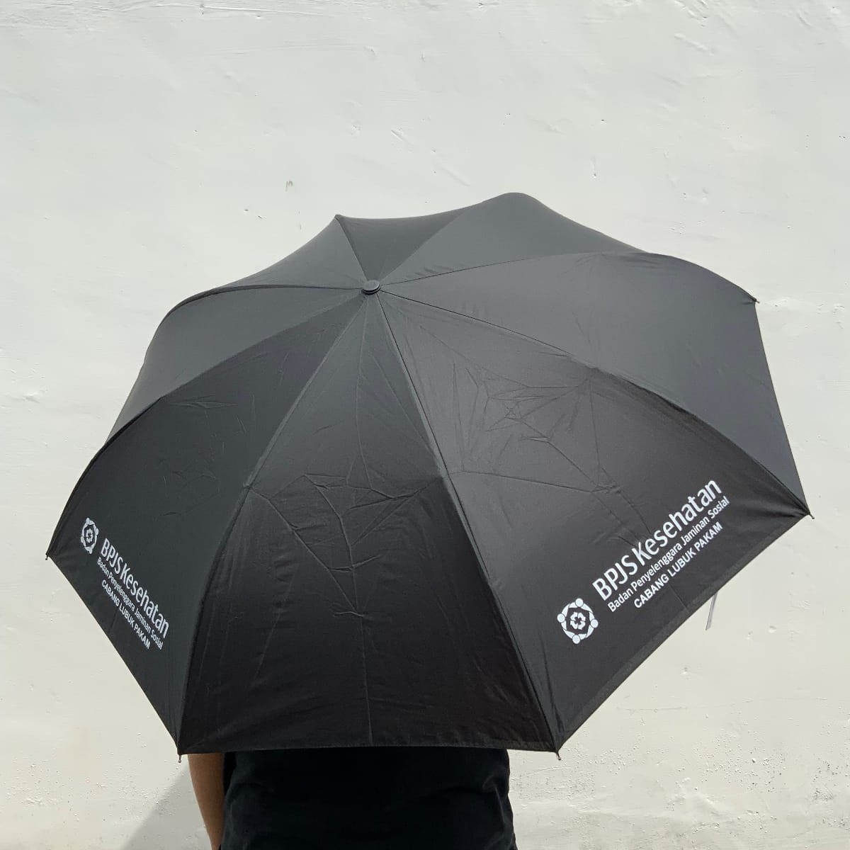 WhatsApp Image 2025-05-21 at 11.51.11 WhatsApp Image 2025-05-21 at 11.51.11